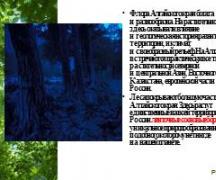 Презентация - растительный мир алтайского края